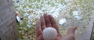 Hail Damage