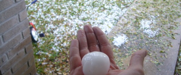 Hail Damage