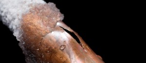 Pipe Break Pipe Burst