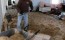 sandy_header_sand_cleanup