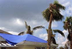 Wind Windstorm Damage