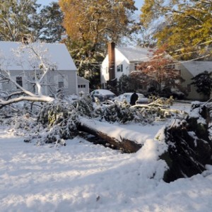 Conneticut Winter Storm Damage