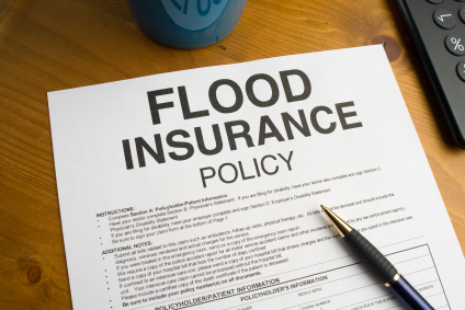 Flood Insurance Policy: insurance policy and claim review