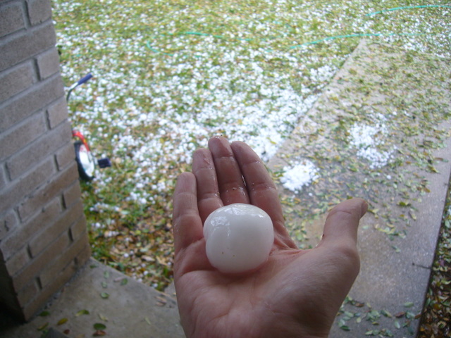 Hail Damage 2: storm, wind, and hail claim documentation
