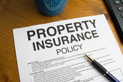 Property Insurance Policy: insurance policy and claim review