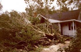 Wind: storm, wind, and hail claim documentation